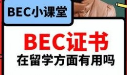 国内爆料吃瓜视频网站,揭秘娱乐圈幕后真相